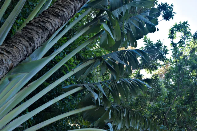 Zenith Helios-77M-4 50mm f1.8 VOMZ (M42) - 00000742.webp