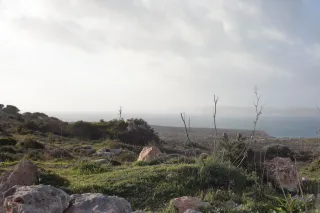 Carl Zeiss Jena DDR Pancolar Electric 50mm f1.8 (M42) - 00004640.webp