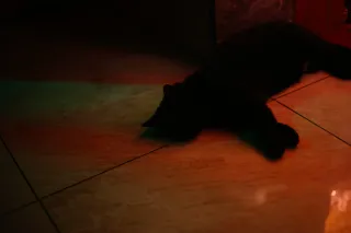 Asahi Opt. Co. SMC Pentax-M 50mm f1.7 (Pentax-K) - 00004732.webp