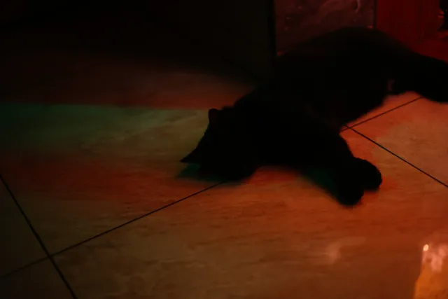 Asahi Opt. Co. SMC Pentax-M 50mm f1.7 (Pentax-K) - 00004732.webp