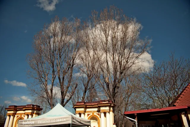 Vivitar Series 1 28-105mm f2.8-3.8 VMC Macro (Olympus OM) - 00005526.webp