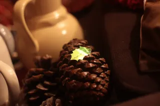 Ricoh Rikenon 50mm f1.4 (Pentax-K) - 00001792.webp