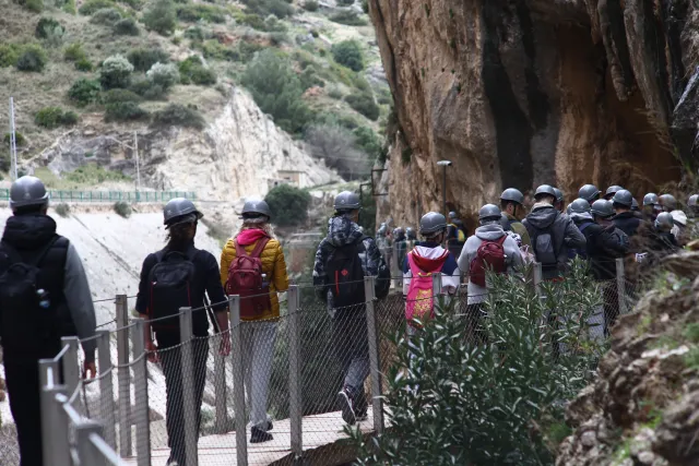 Osawa 135mm f2.8 (Minolta MD) - 00002962.webp