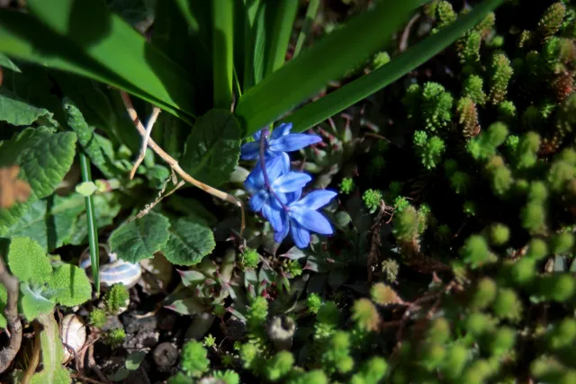 Pentax-A 28-80mm f3.5-4.5 (Pentax-K) - 00005725.webp