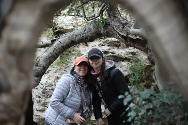 Carl Zeiss Jena DDR Pancolar Electric 50mm f1.8 (M42) - 00004472.webp