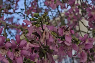 Industar-50-2 50mm f3.5 (M42) - 00002406.webp