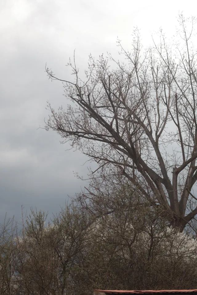 Vivitar Series 1 70-210mm f3.5 VMC V2 (Olympus OM) - 00005555.webp