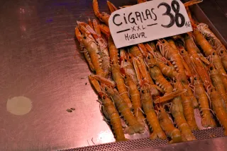 Tamron 28-300mm F3.5-6.3 (EF) - 00000545.webp