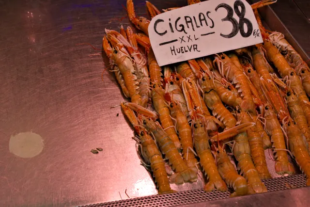 Tamron 28-300mm F3.5-6.3 (EF) - 00000545.webp