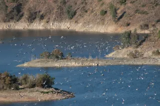 Tamron 28-300mm F3.5-6.3 (EF) - 00000785.webp