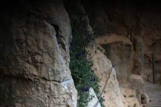 Auto Exaktar EEM 35mm f2.8 ( Minolta MD) - 00003061.webp