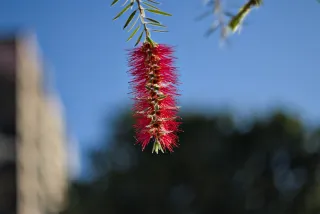 Zenith Helios-77M-4 50mm f1.8 VOMZ (M42) - 00000207.webp