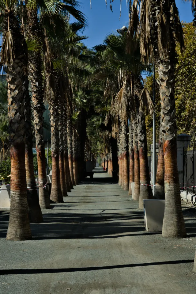 Industar-50-2 50mm f3.5 (M42) - 00000159.webp