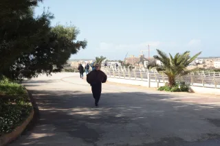 Carl Zeiss Jena DDR Pancolar Electric 50mm f1.8 (M42) - 00003612.webp