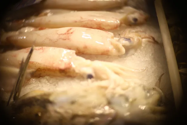 Simplex Ampro Ltd 2.5cala (63.5mm) f1.8 16mm (DIY) - 00002839.webp