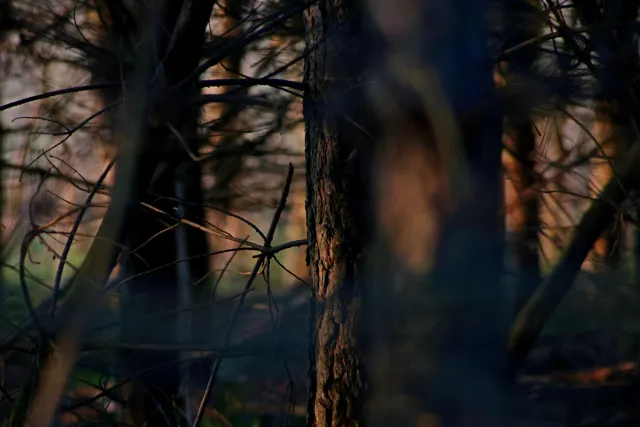 Spiratone Plura-Coat SharpShooter-S 400mm f6.3 (T2-M42) - 00005338.webp