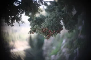 Simplex Ampro Ltd 2.5cala (63.5mm) f1.8 16mm (DIY) - 00003150.webp