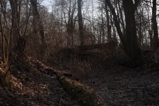 Minolta Rokkor 50mm f1.4 (Minolta MD) - 00004803.webp