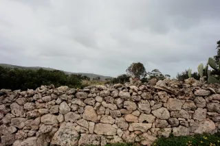 Carl Zeiss Flektogon f4 20mm (m42).md - 00004495.webp