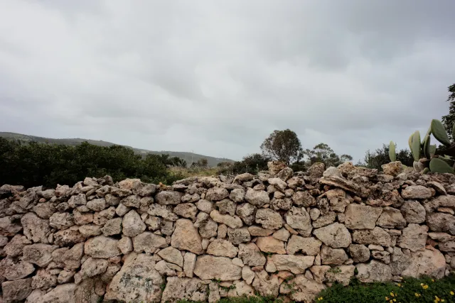 Carl Zeiss Flektogon f4 20mm (m42).md - 00004495.webp