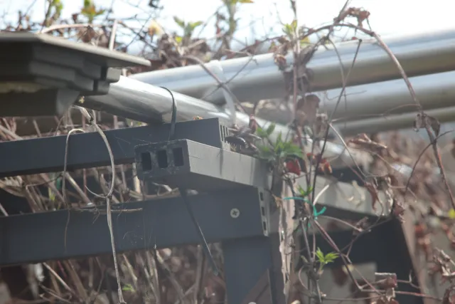 Jupiter-21M 200mm f4 (M42) - 00005656.webp