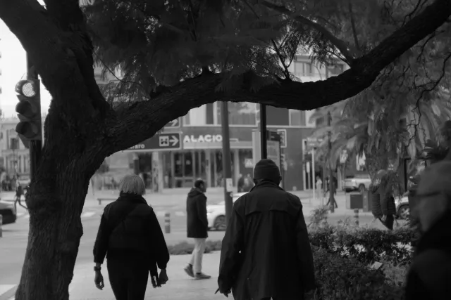 Zenith Helios-77M-4 50mm f1.8 VOMZ (M42) - 00000498.webp