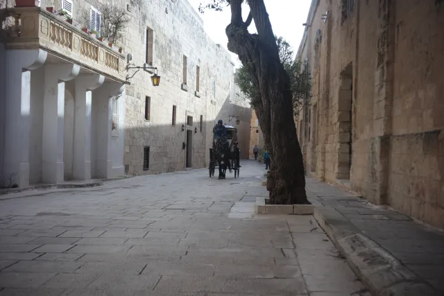 Meyer-Optik Görlitz Primagon 35mm f4.5 (M42) - 00003738.webp