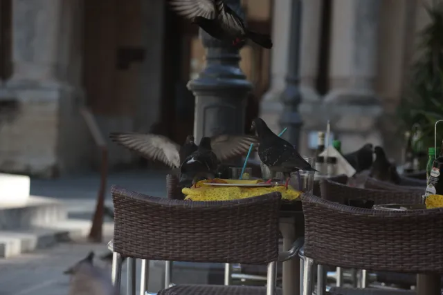 Tair-11A 135mm f2.8 (M42) - 00003455.webp