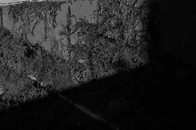 Zenith Helios-77M-4 50mm f1.8 VOMZ (M42) - 00000656.webp