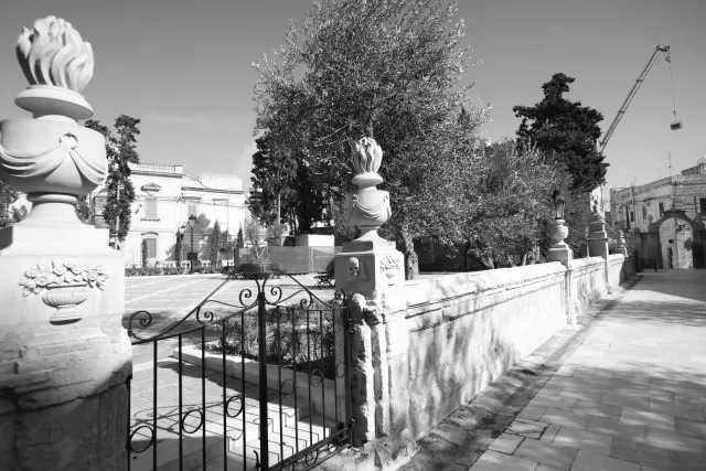 Carl Zeiss Flektogon f4 20mm (m42).md - 00003827.webp