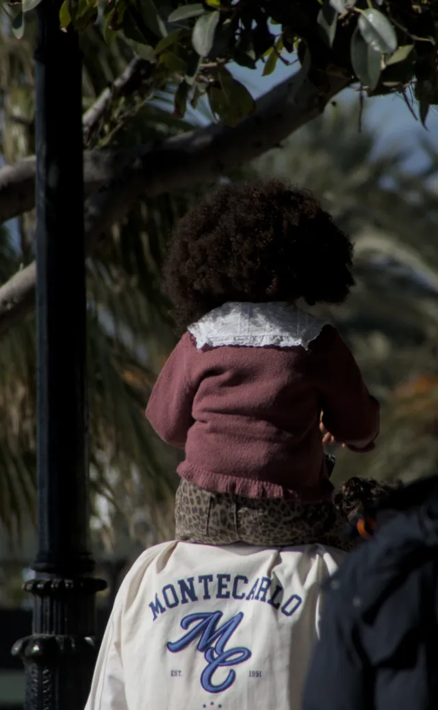 Tamron 28-300mm F3.5-6.3 (EF) - 00001064.webp