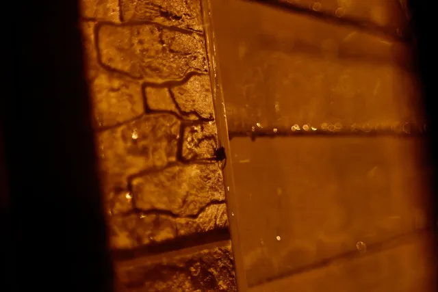 Pentacon 50mm f1.8 Triangle Bokeh Mod (M42) - 00000028.webp