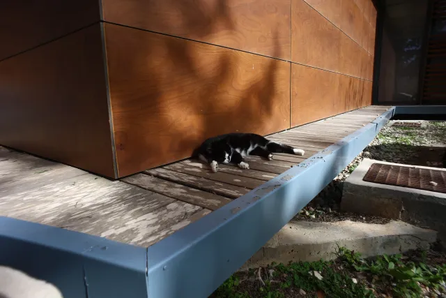 Carl Zeiss Flektogon f4 20mm (m42).md - 00003961.webp