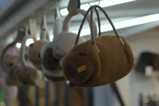 Zenith Helios-77M-4 50mm f1.8 VOMZ (M42) - 00000704.webp