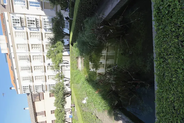 Tokina at-x 116 (EF) - 00000063.webp