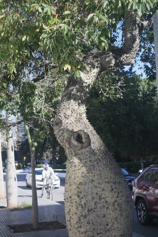 Meyer-Optik Görlitz Primagon 35mm f4.5 (M42) - 00002504.jpg