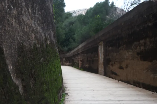 Minolta MC Rokkor-PF 55mm f1.7 (Minolta MCMD) - 00003024.webp