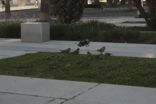 Industar-50-2 50mm f3.5 (M42) - 00002425.webp