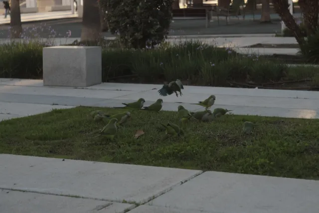 Industar-50-2 50mm f3.5 (M42) - 00002425.webp