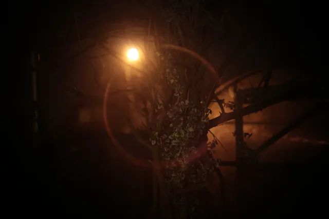 KOWA SUPER PROMINAR-16 50mm f1.2 Eiki 16mm (DIY) - 00003228.webp