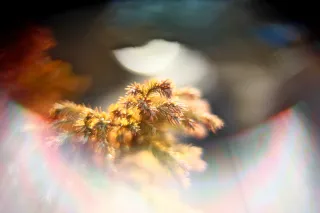 KOWA SUPER PROMINAR-16 50mm f1.2 Eiki 16mm (DIY) - 00002078.webp