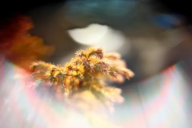 KOWA SUPER PROMINAR-16 50mm f1.2 Eiki 16mm (DIY) - 00002078.webp