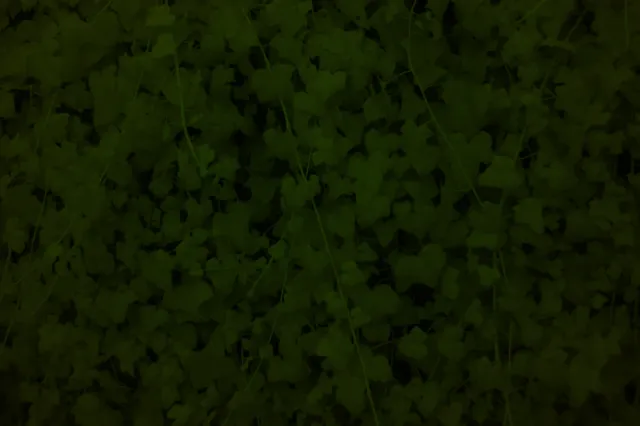 Vivitar 28mm f2.5 (M42) - 00004845.webp