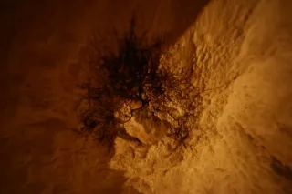 Carl Zeiss Flektogon f4 20mm (m42).md - 00003942.webp