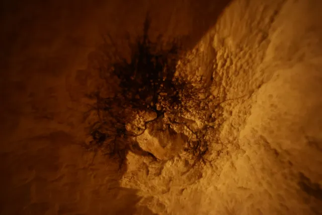 Carl Zeiss Flektogon f4 20mm (m42).md - 00003942.webp