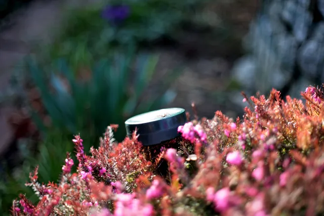 Nikkor-H Auto 50mm f2 (Nikon F) - 00005370.webp