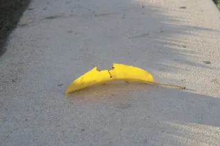 Industar-50-2 50mm f3.5 (M42) - 00002420.webp