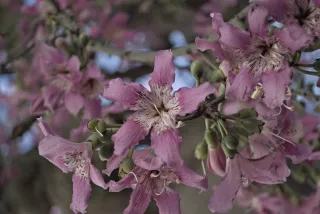 Industar-50-2 50mm f3.5 (M42) - 00002401.webp