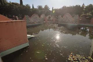 Tokina at-x 116 (EF) - 00002579.webp