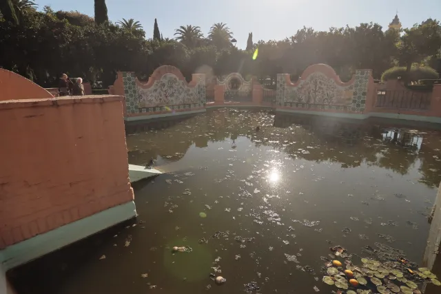 Tokina at-x 116 (EF) - 00002579.webp